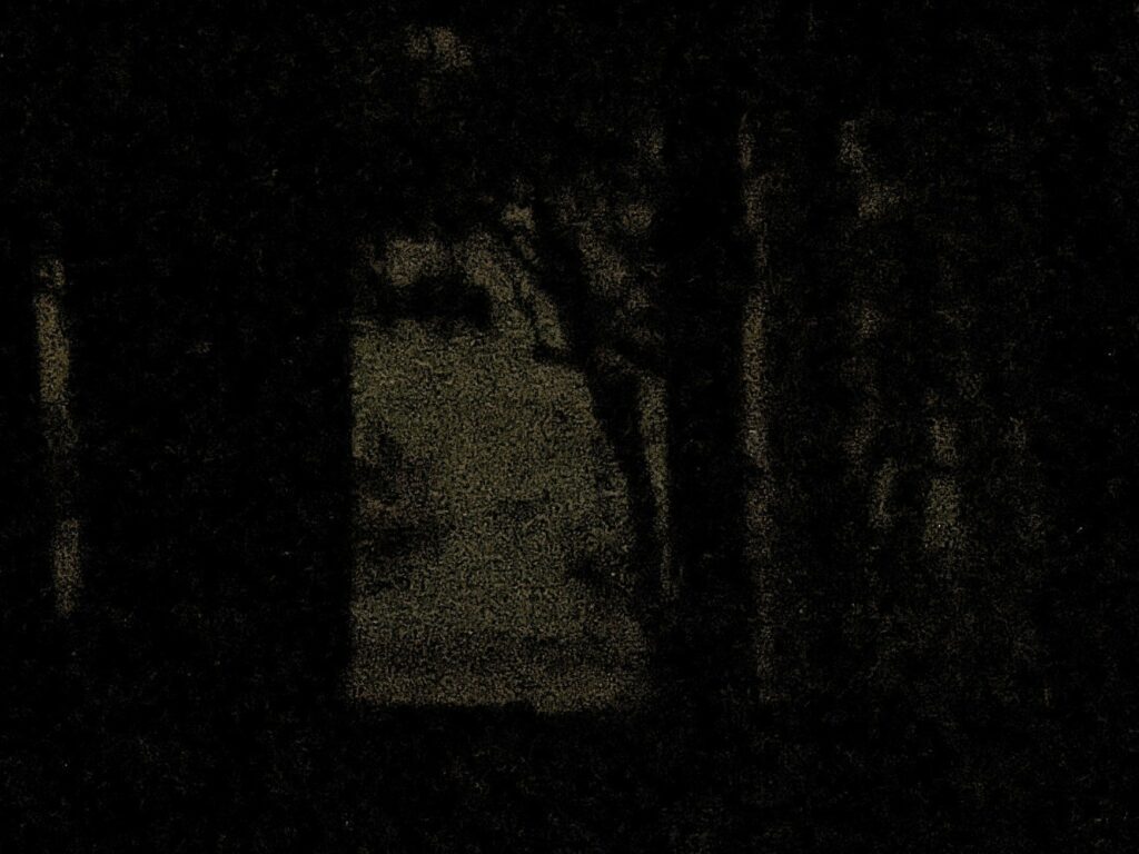 A very grainy night time shot of some indistinct trees