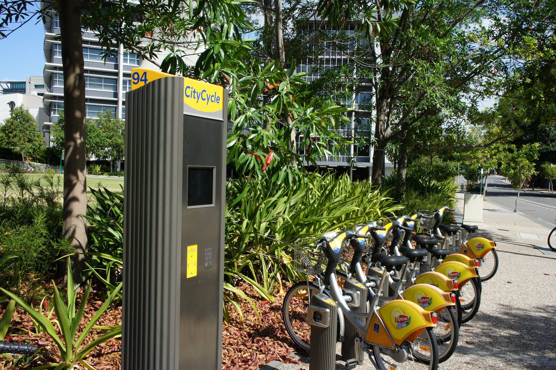 Glenelg St / Merivale St CityCycle Station. A pylon with a screen and buttons, with yellow Lipton bikes spread off to the horizon.