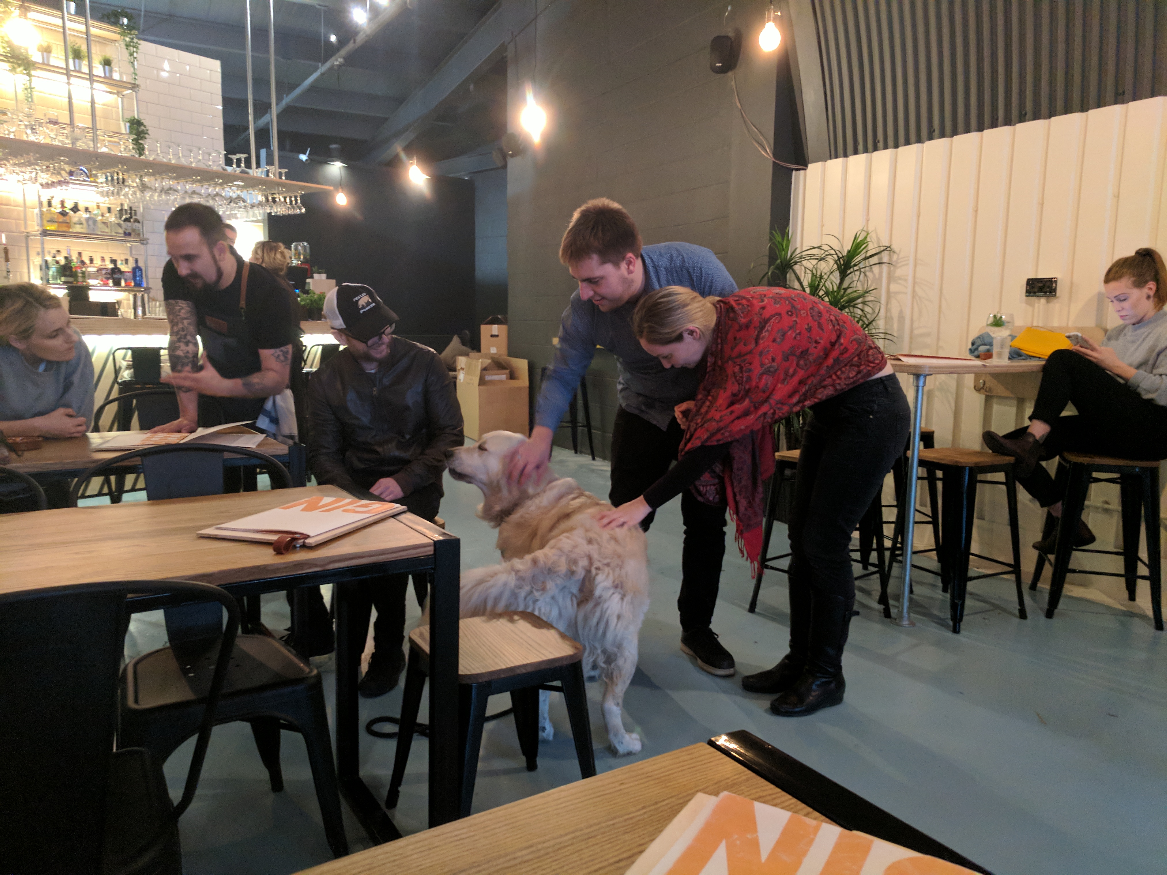 Tom and Shashi petting a dog in a cafe.