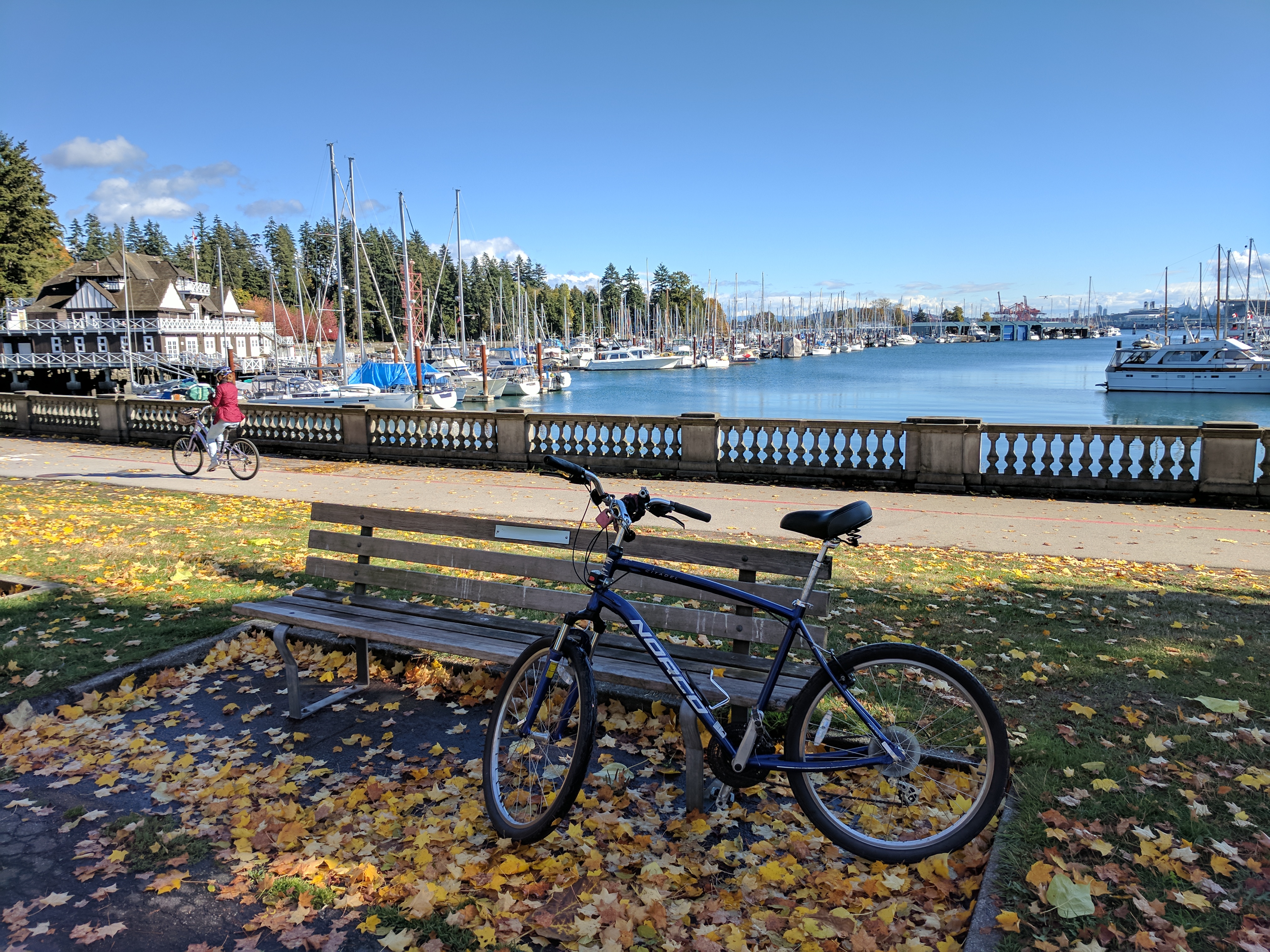 Sweet Norco bike propped up against the park bench, there's leaves all over the ground and sailboats berthed in the background.