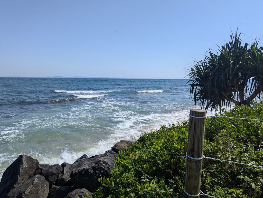 The waves crash against the rocks, scruffy beach plants line the shore. Not a cloud in the sky